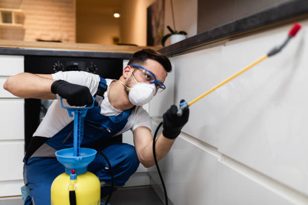 Best Affordable Pest Control Services  in Gholson, TX