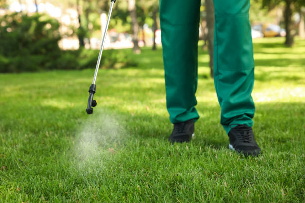 Best Exterminator Services  in Gholson, TX