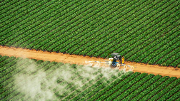 Best Pest Control Near Me  in Gholson, TX