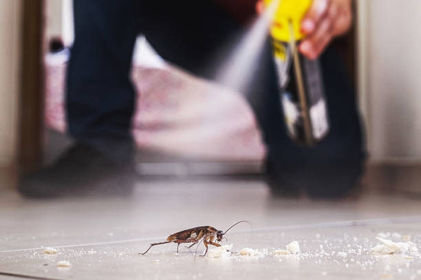 Best Flea Control Services  in Gholson, TX